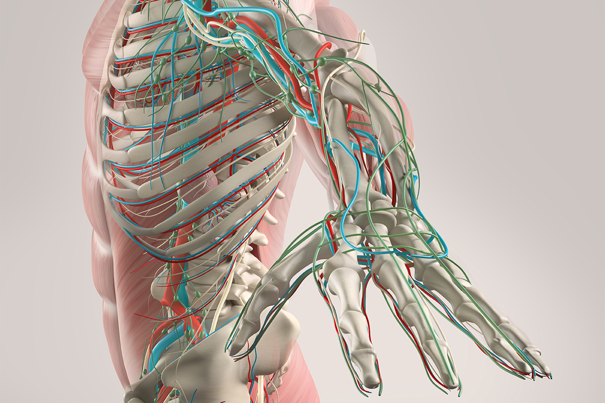 Cardiology Magazine Image