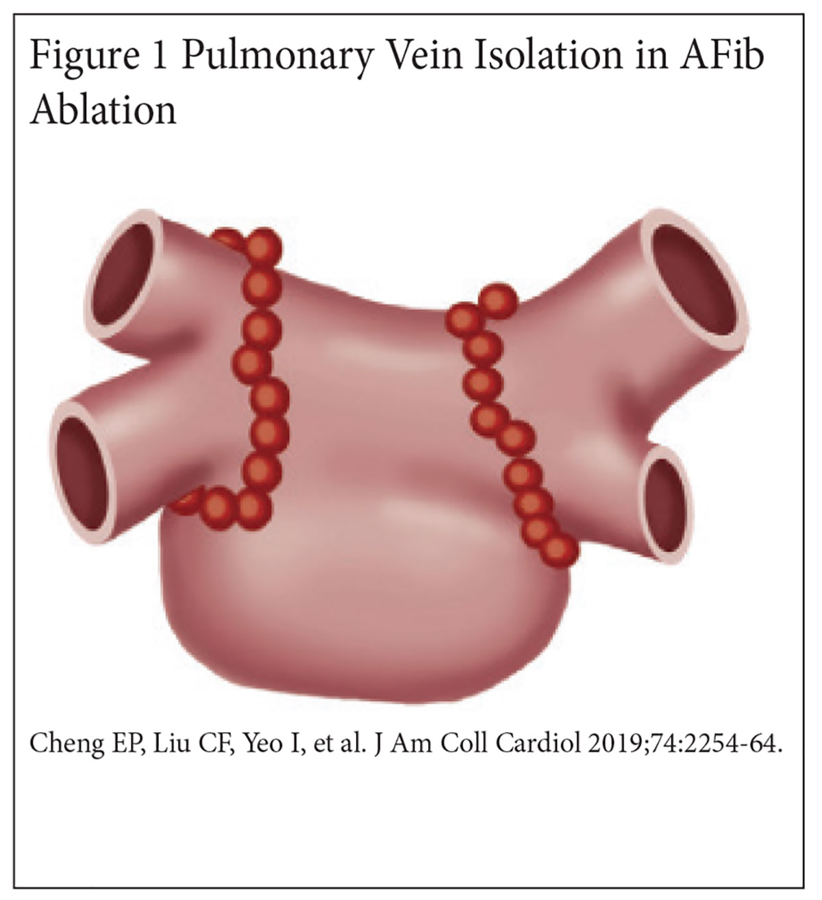 Cardiology Magazine Image