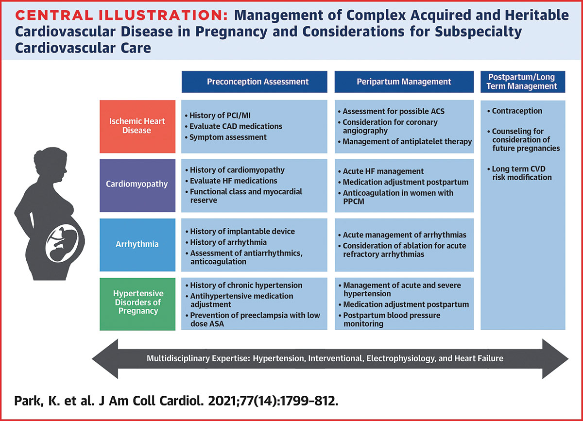 Feature | Cardio-Obstetrics: Insights From JACC Focus SeminarFeature | Cardio-Obstetrics: Insights From JACC Focus Seminar