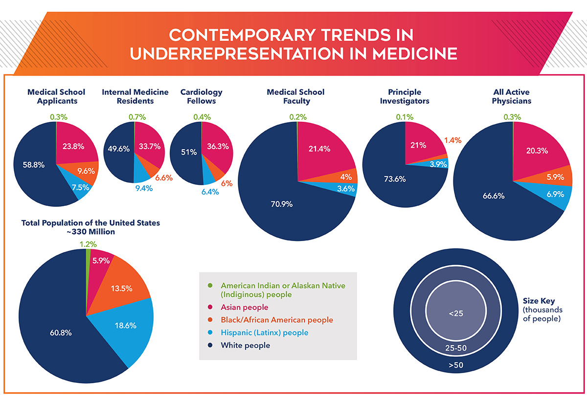 Contemporary Trends in Underrepresentation in Medicine