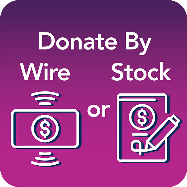Donate by Wire or Stock