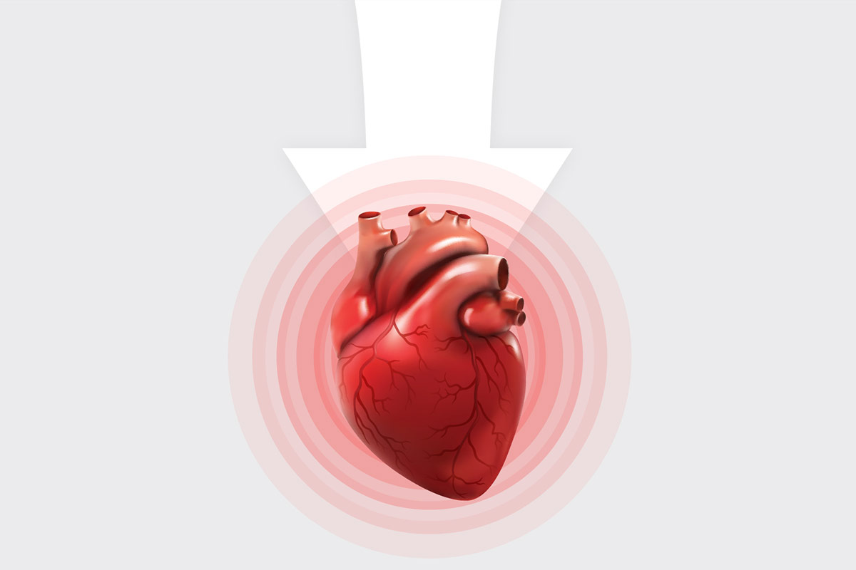 3D Heart; Conceptual Image