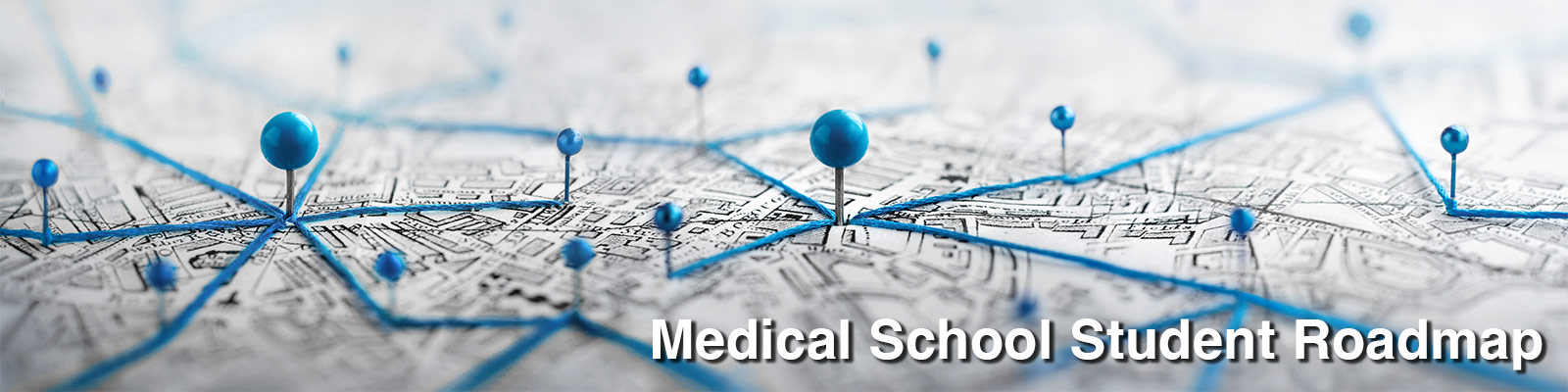Medical School Student Roadmap