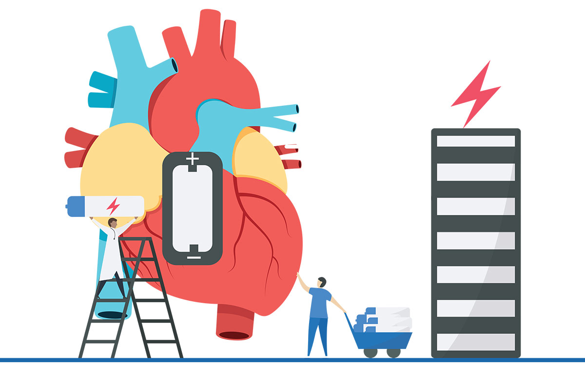 Trends in Advanced Heart Failure Therapy: Update on Cardiac Transplantation