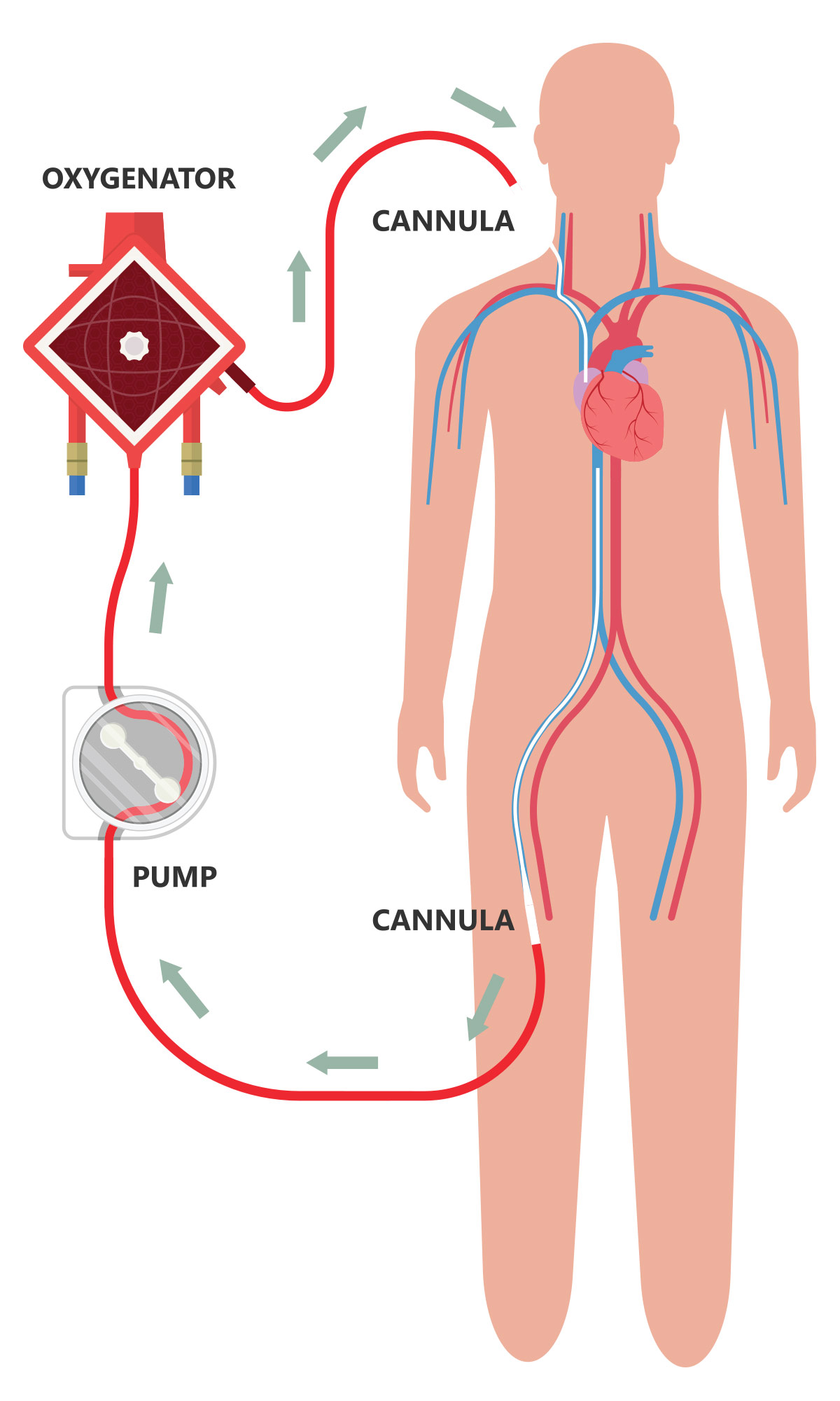 ECMO: Lessons Learned From the COVID Era