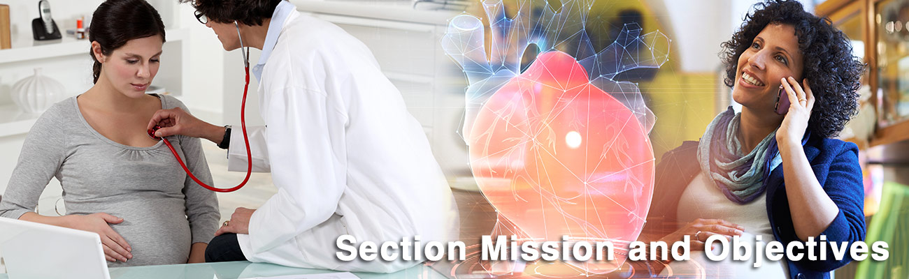 Section Mission and Objectives