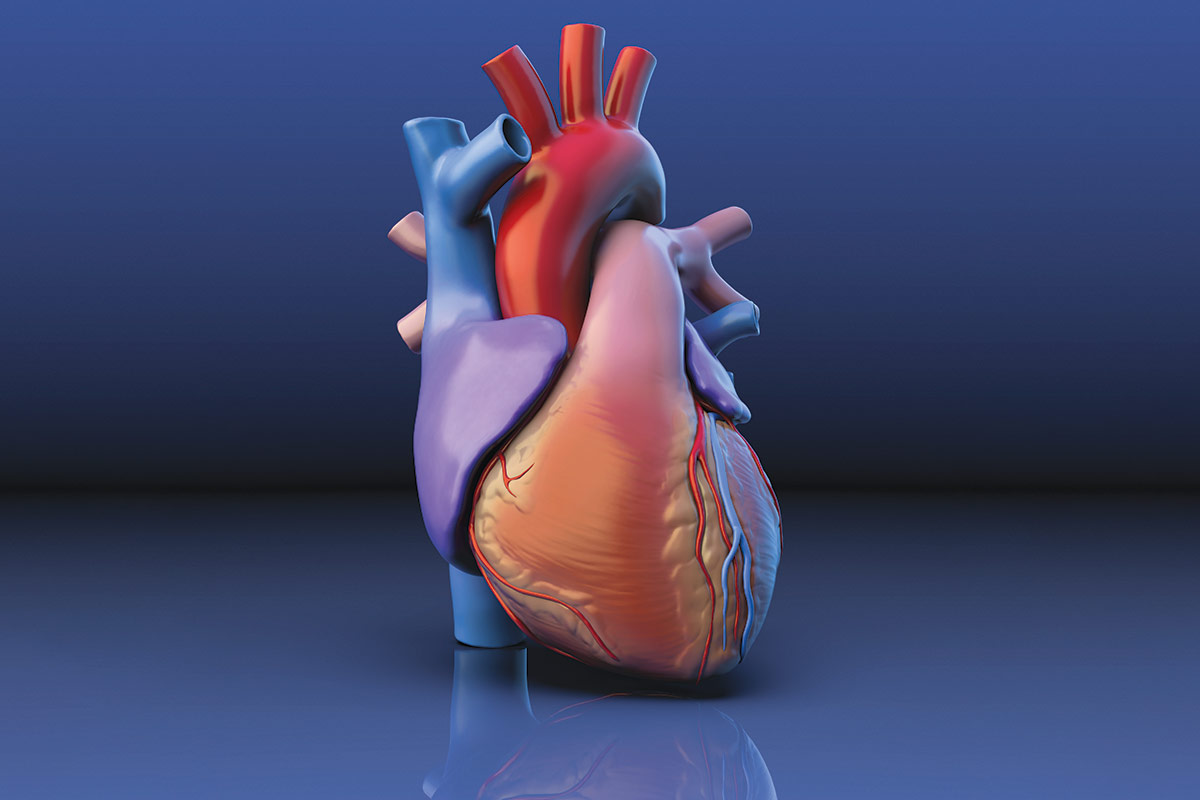 NCDR at 25: Transforming Cardiovascular Care and Saving Lives