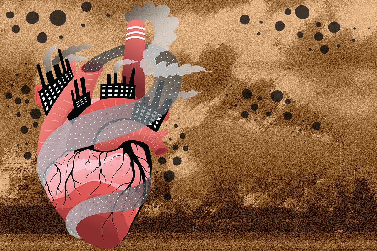 Cover Story | Environmental Stress and Cardiovascular Disease