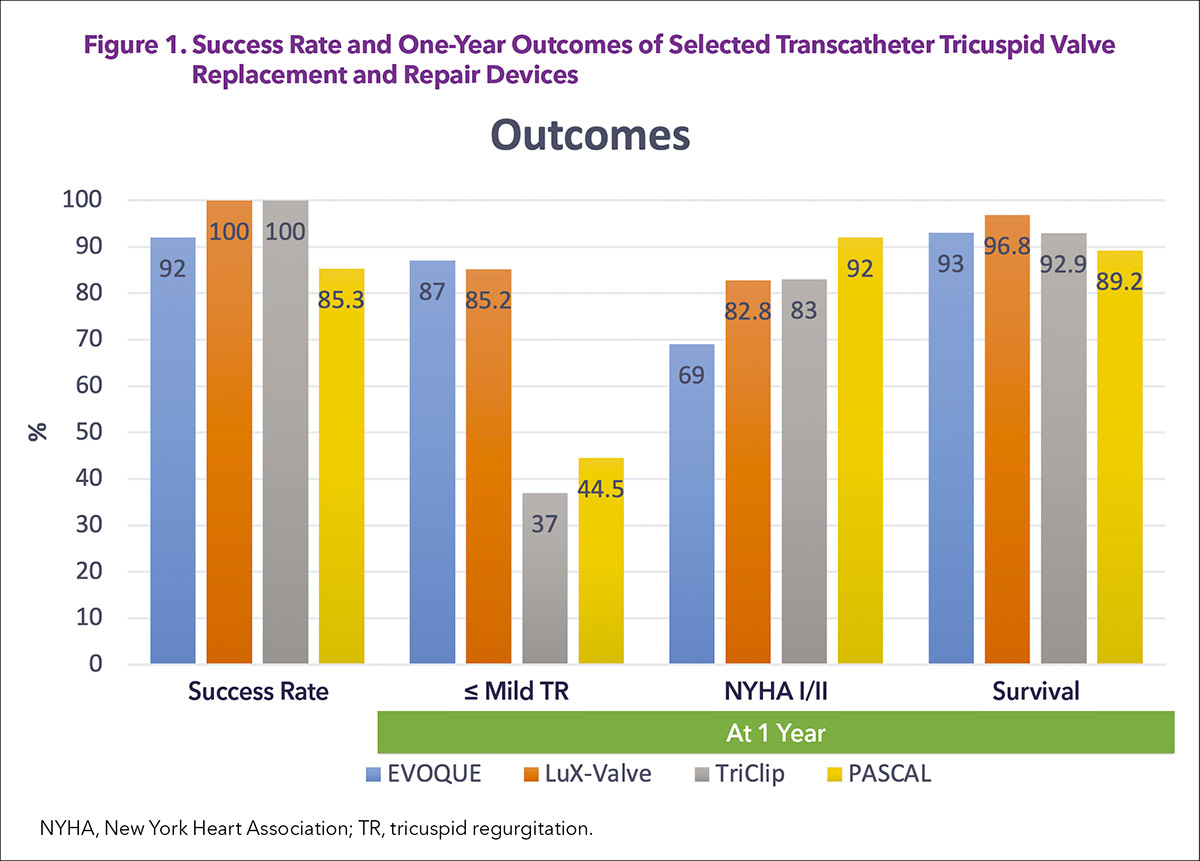 Transcatheter Tricuspid Valve Replacement: Useful or Not