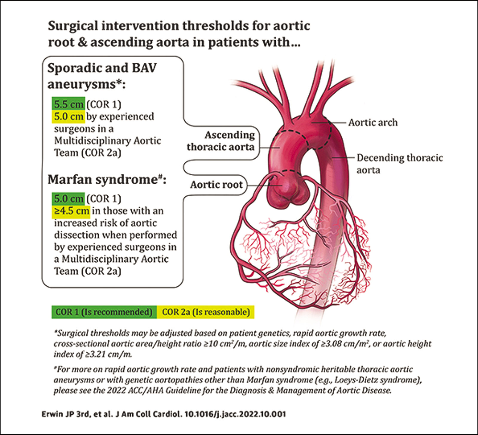 Diagnosis, Management of Aortic Disease Focus of New ACC/AHA Guideline