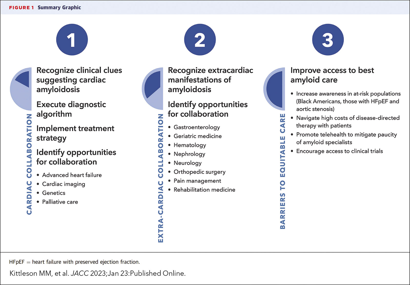Supporting Clinical Care: New Expert Consensus Decision Pathway on Cardiac Amyloidosis