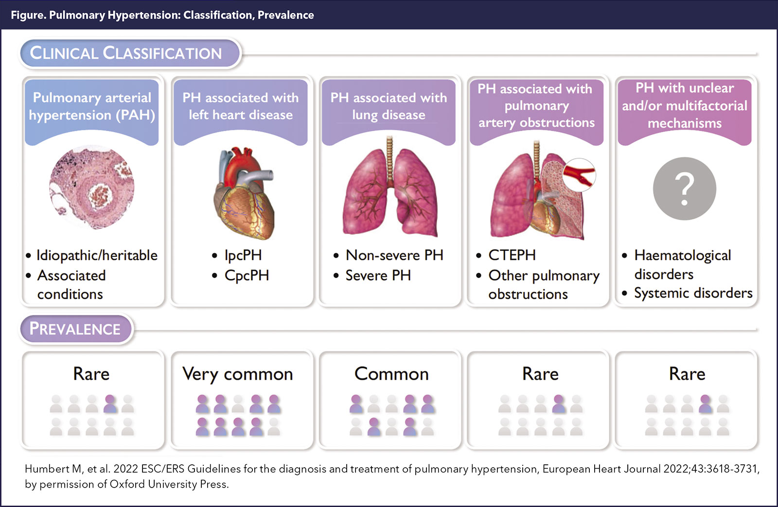 Pulmonary Hypertension and the Right Ventricle: Forgotten No More