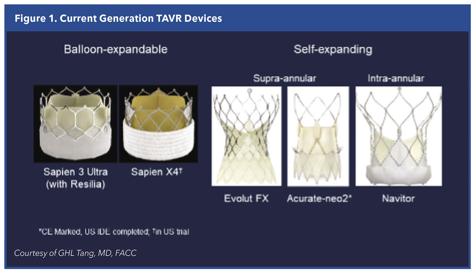 Transcatheter Heart Valve Technology: An Update