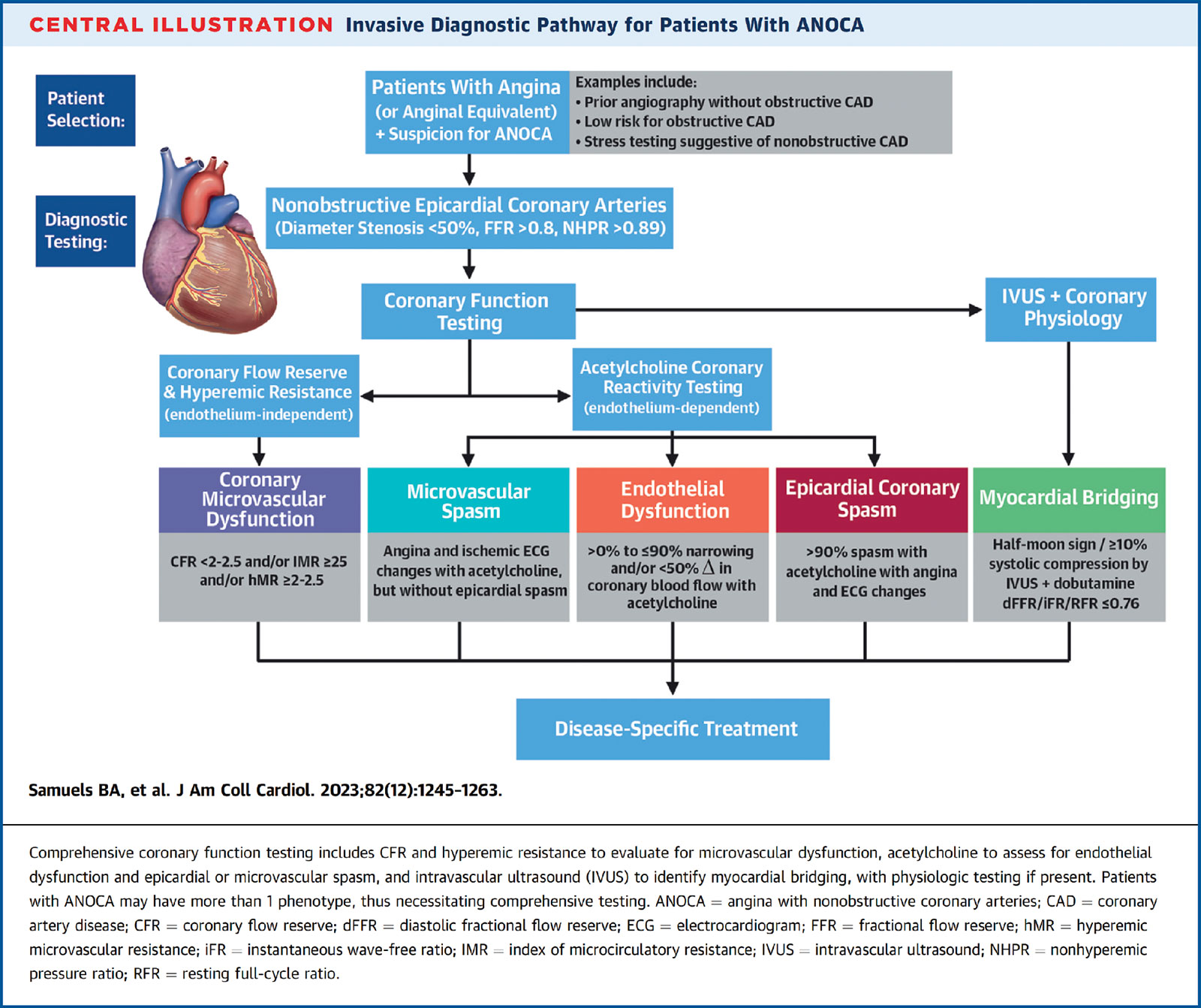 Rethinking the Meaning of IHD: Invasive Assessment of Angina and Nonobstructive Coronary Arteries