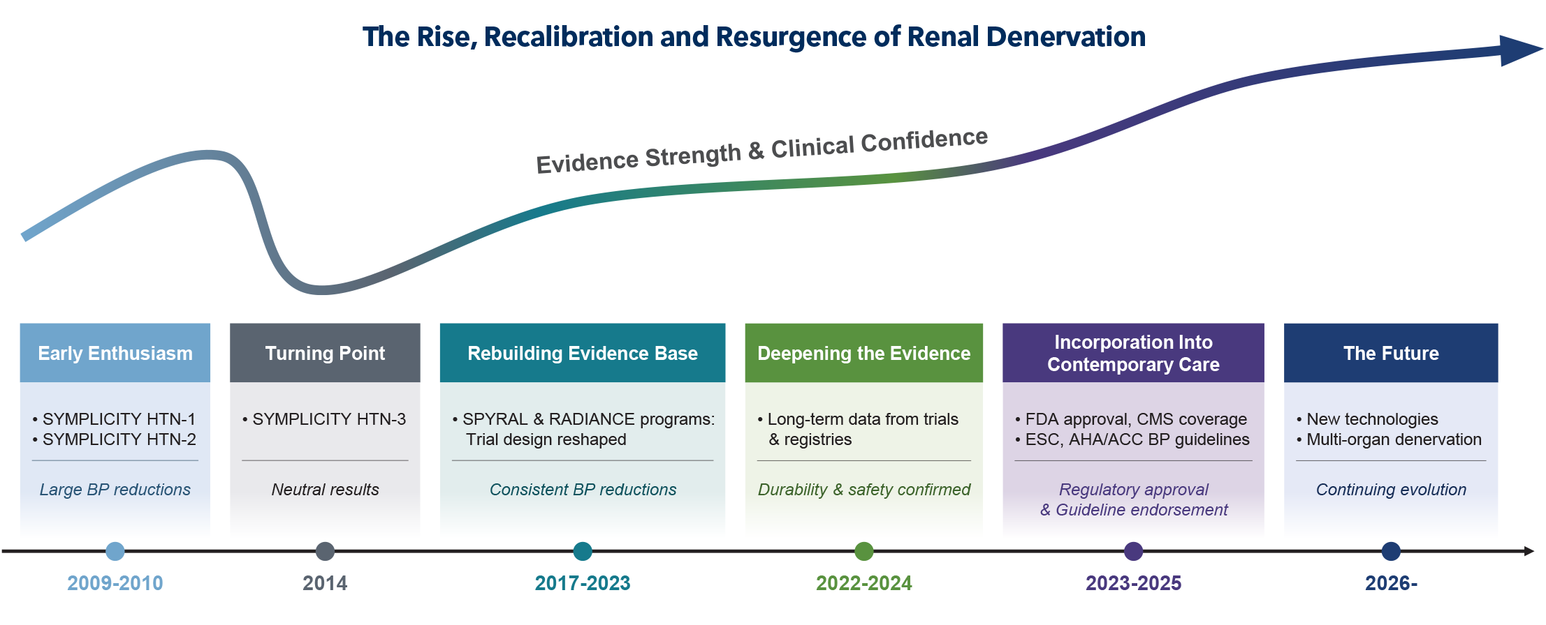 The Rise, Recalibration and Resurgence of Renal Denervation