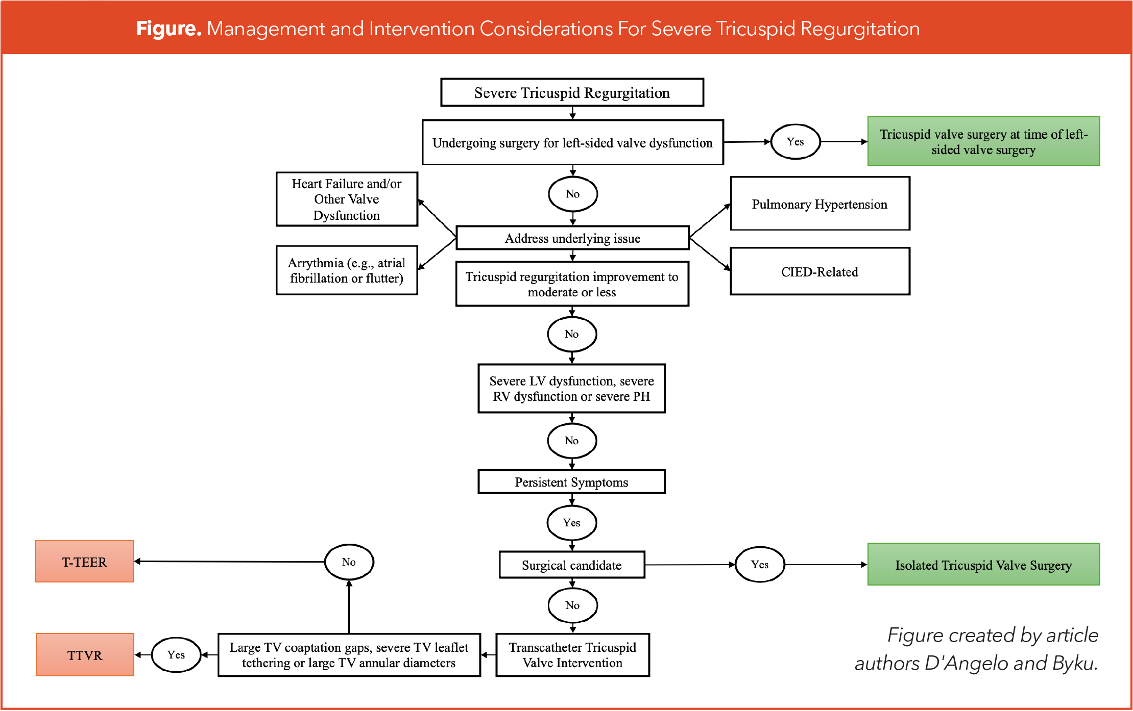 Figure. Management and Intervention Considerations For Severe Tricuspid Regurgitation