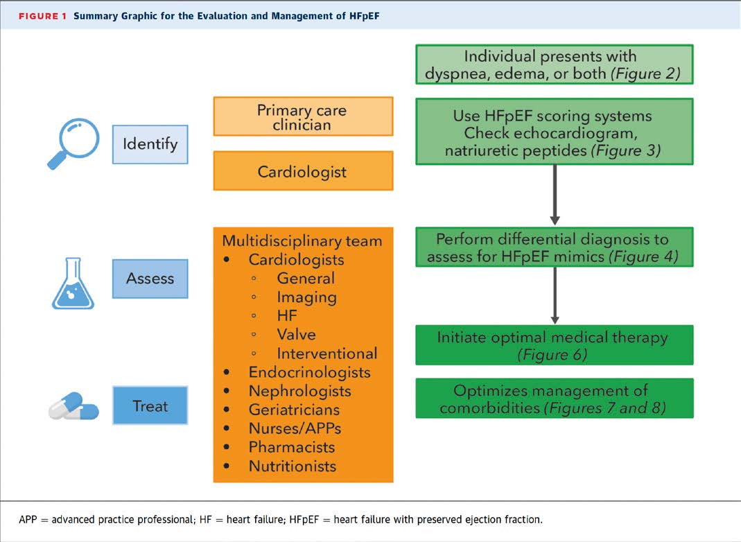 Figure - Updated Pathway Reframes HFpEF Care