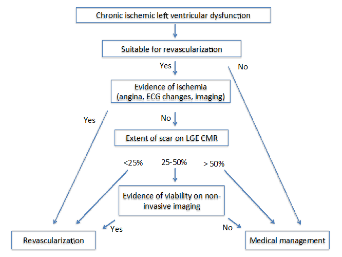 Assessment of Myocardial Viability Using Nuclear Medicine Imaging in  Dextrocardia