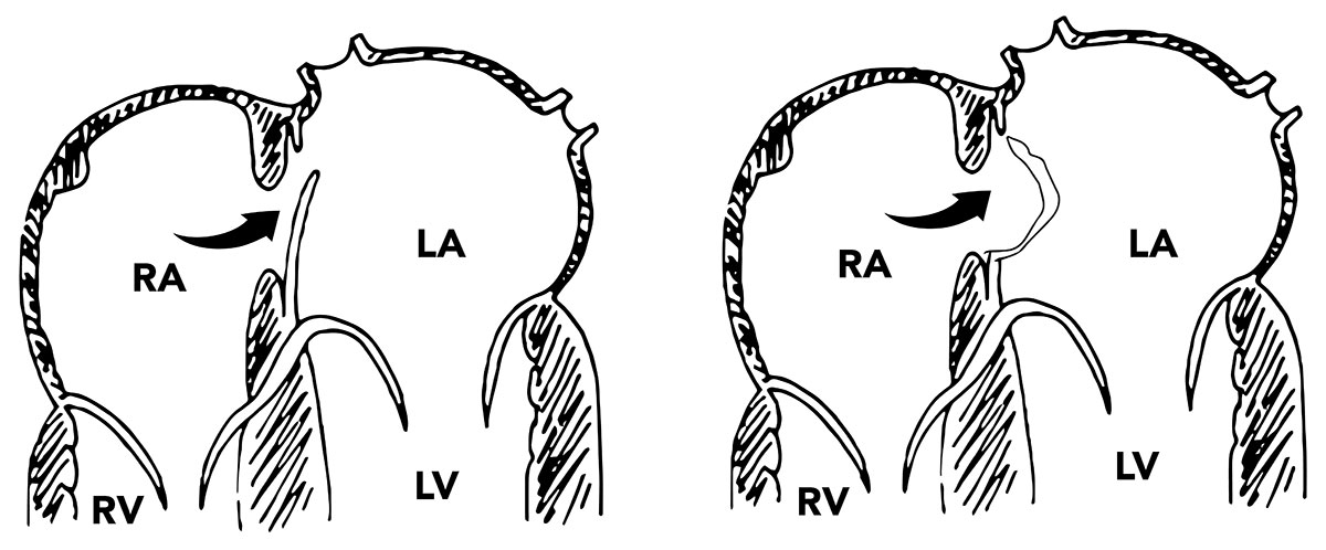 Cardiology Magazine Image