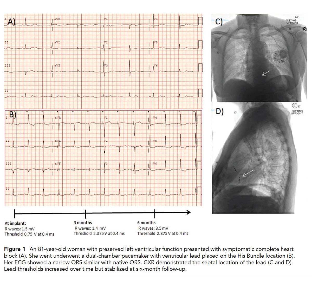 Cardiology Magazine Image