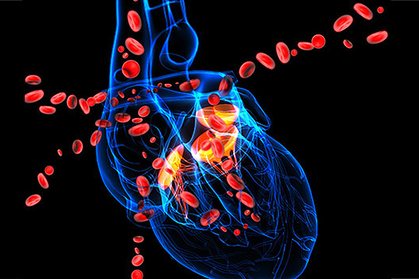 Cardiology Magazine Image