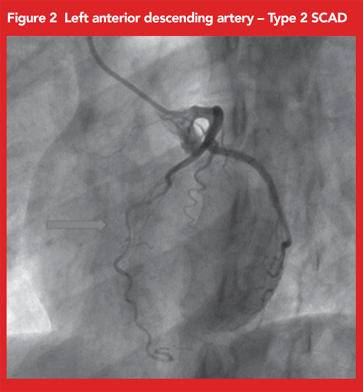 Cardiology Magazine Image