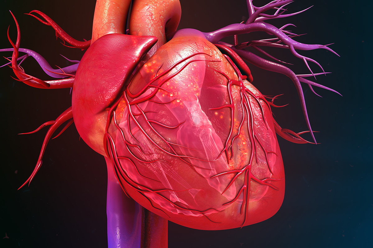 Cardiology Magazine Image