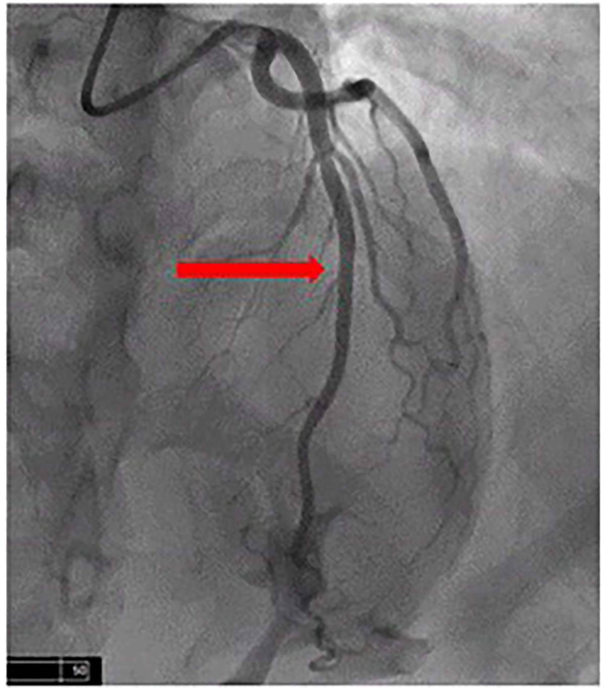 Cardiology Magazine Image