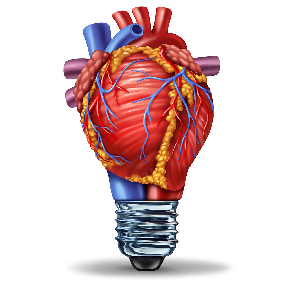 Cardiology Magazine Image